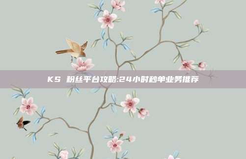 KS 粉丝平台攻略:24小时秒单业务推荐