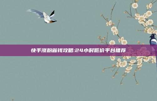 快手涨粉省钱攻略:24小时低价平台推荐