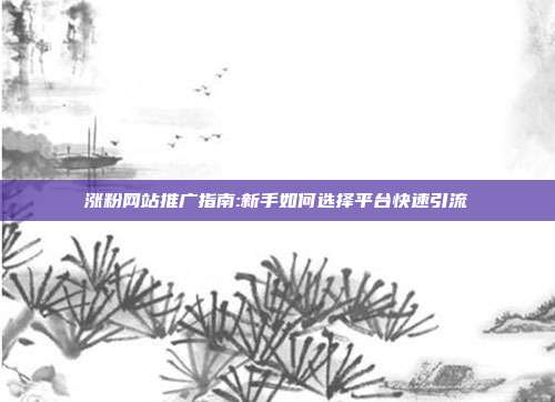 涨粉网站推广指南:新手如何选择平台快速引流