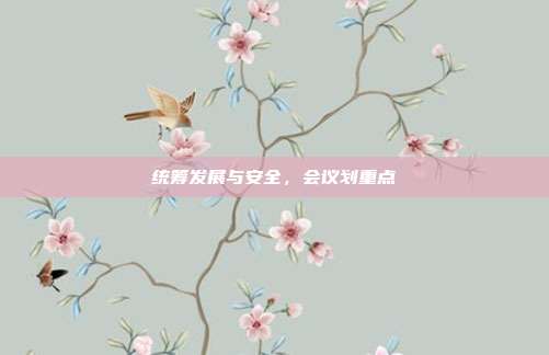 统筹发展与安全，会议划重点