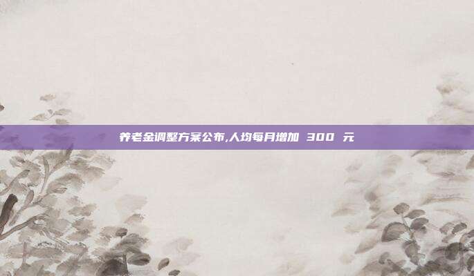 养老金调整方案公布,人均每月增加 300 元