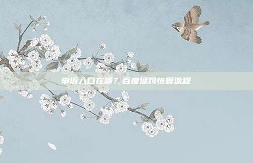 申诉入口在哪?百度惩罚恢复流程