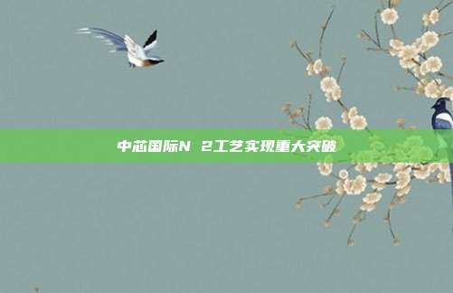 中芯国际N 2工艺实现重大突破