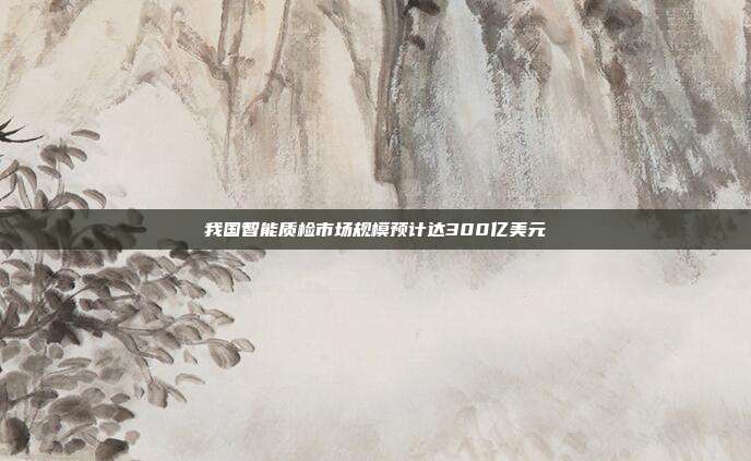 我国智能质检市场规模预计达300亿美元